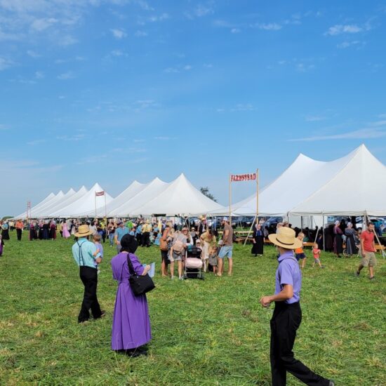 Family Days on The Farm 2023! Springwood Organic Farm